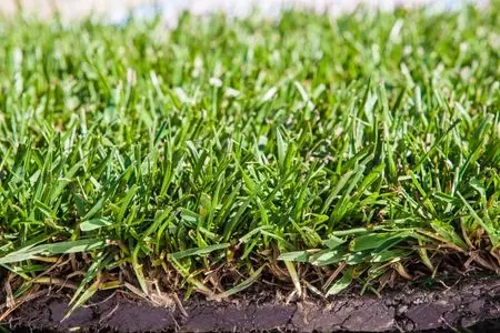 SOD installation