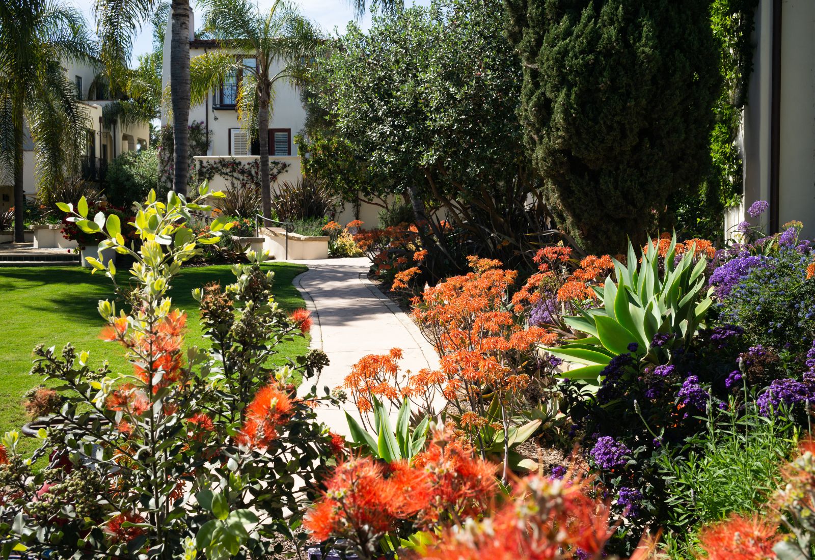 Local landscapers in Port St Lucie Florida maintaining a lush tropical yard with palms and flowering beds