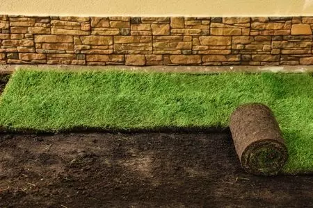 lawn installation process in port st lucie